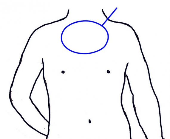 Tegning av overkroppen med fokus på brystet.