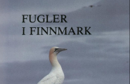 Fugler i Finnmark