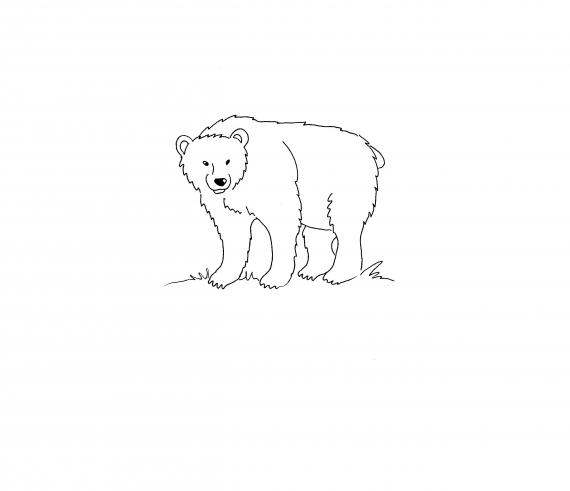 Tegnet bilde av en bjørn i profil.