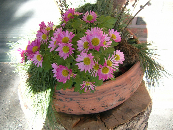 Blomster i en vase på et bord.