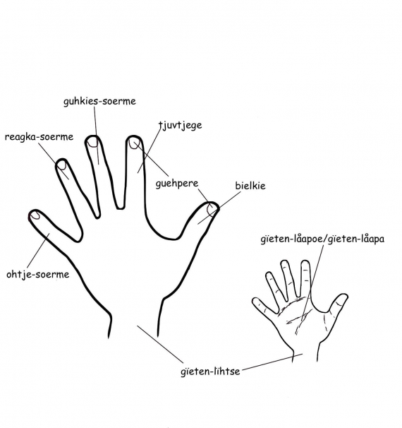 Tegning av en hånd med beskrivende tekst på sørsamisk hva de ulike fingre heter.