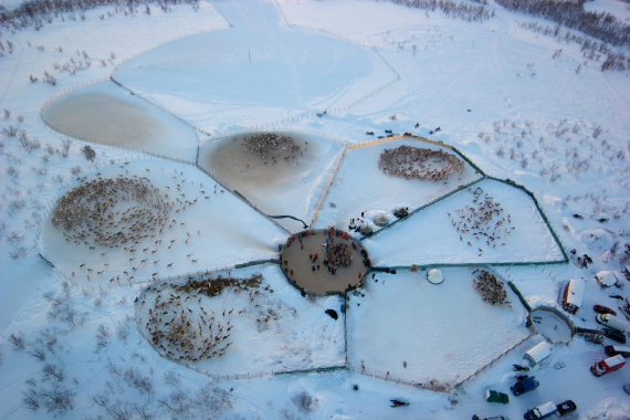 Flyfoto av et reingjerde om vinteren.