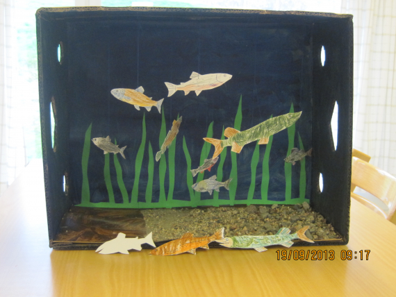 Akvarium av papp, med papirfigurer av forskjellige ferskvannsfisker.