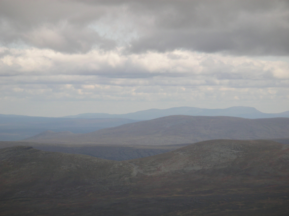 Vidder og fjell om sommeren.