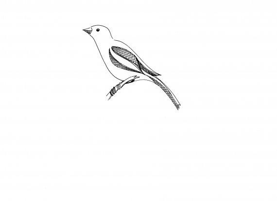 Tegnet bilde av en fugl som sitter på et gren