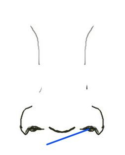 Tegning av en nese med fokus på neseboret.