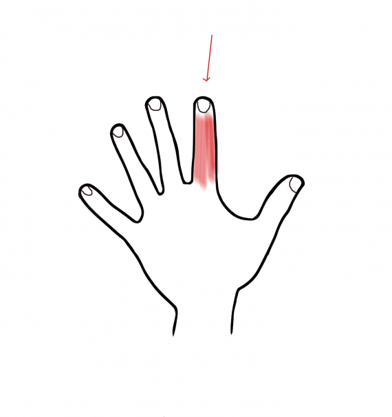 Tegning av en hånd med fokus på pekefingeren.