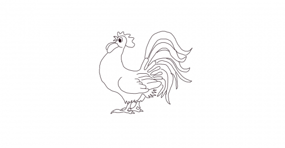 Tegning av en hane.