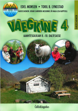 Omslag av boka Vaegkine 4