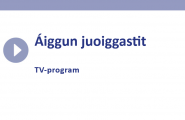 Áiggun juoiggastit