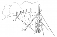 Áhci