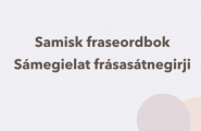 Samisk Fraseordbok