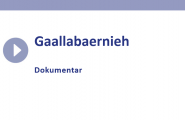 Gaallabaernieh