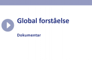 Global forståelse