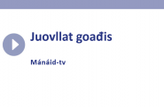 Juovllat goađis