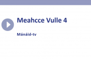 Meahcce Vulle 4