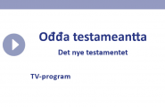 Det nye testamentet