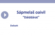 Sápmelaš oaivil - Dáiddárat