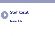 Stohkosat