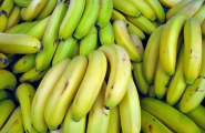 Banána
