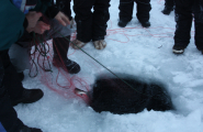 Garnfiske under isen