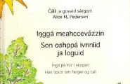 Iŋggá meahccevázzin