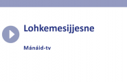 Lohkemesijjesne