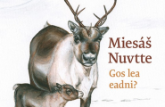 Miesáš Nuvtte – gos lea eadni?