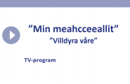 Villdyra våre