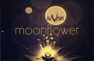  Moonflower