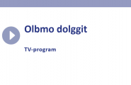 Olbmo dolggit