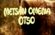 Otso, bjørnungen