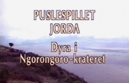 Puslespillet jorda 1