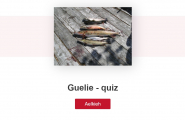 Quiz - Aamhtese guelie